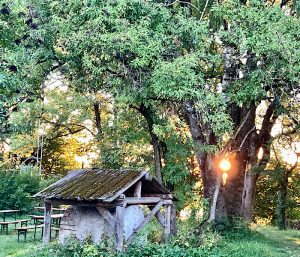 Man sieht einen grossen Baum mit grünen Blättern, vor ihm eine kleine Holzhütte, durch den Baum schimmert ein Sonnenuntergang 